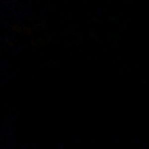 Meet your Posher, Dj